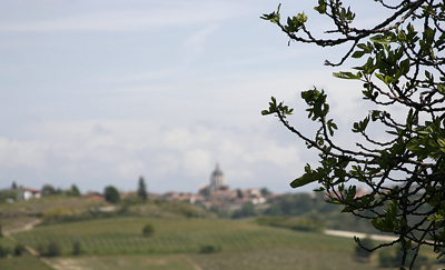 Colline del Nizza, sullo sfondo Fontanile