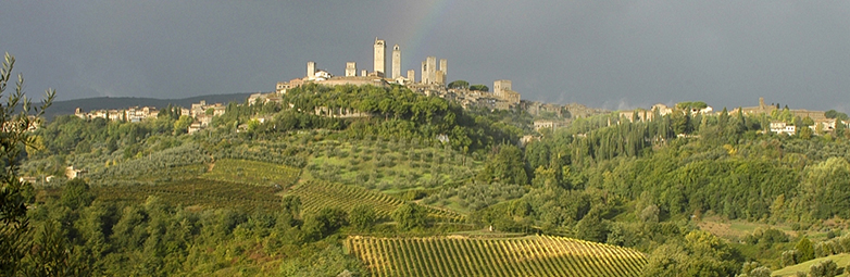 I vigneti intorno a San Gimignano