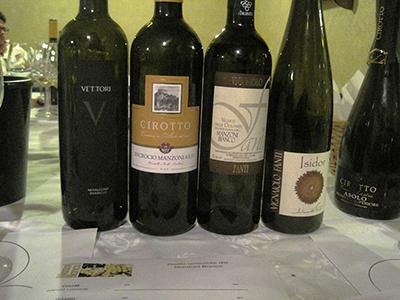 I vini in degustazione