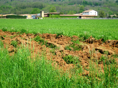 Il paesaggio nel Montello