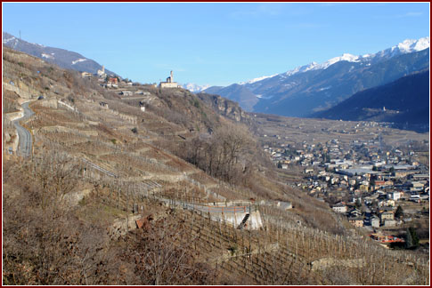 Panorama dai vigneti di Arpepe