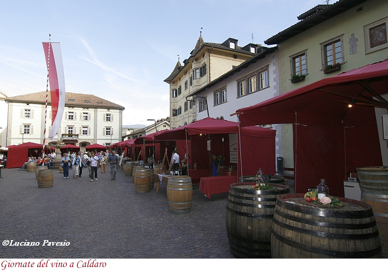 Giornate caldaresi del vino