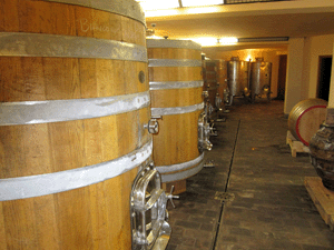 La cantina dell'azienda Paraschos