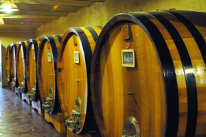 Cantina Cavallotto