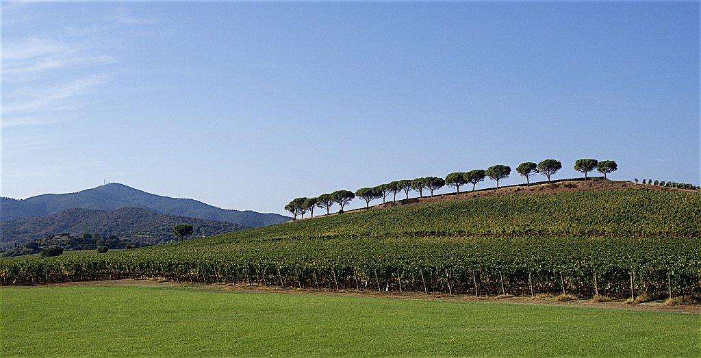 Maremma Toscana