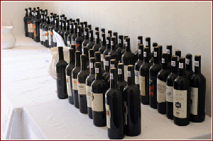 I vini in degustazione