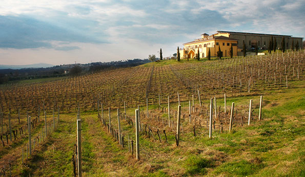 Tenuta Santa Lucia