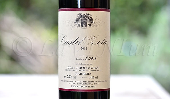 Colli Bolognesi Barbera Castel Zola 2012 Lodi Corazza