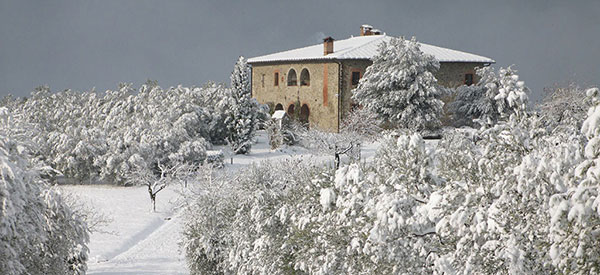 Terra di Seta in inverno