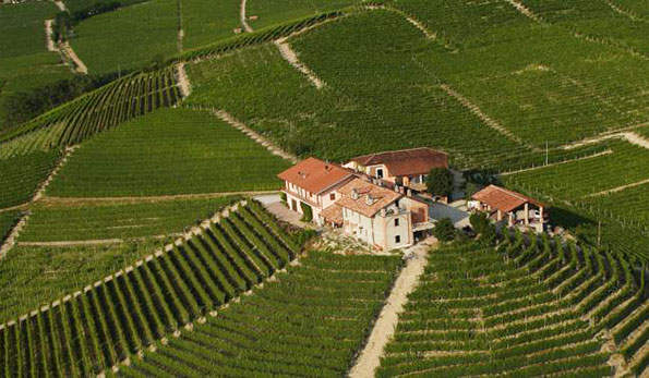 cantina Giacomo Conterno