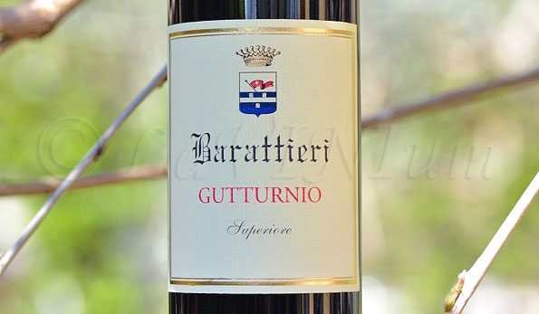 Gutturnio Superiore 2016 Barattieri