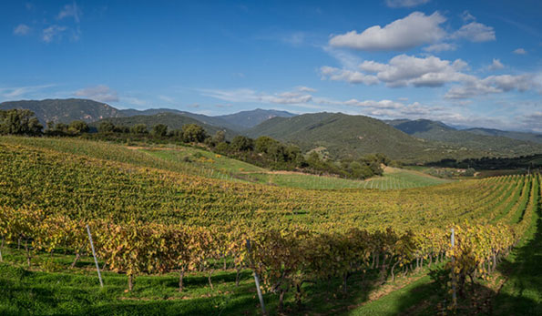 Domaine Abbatucci