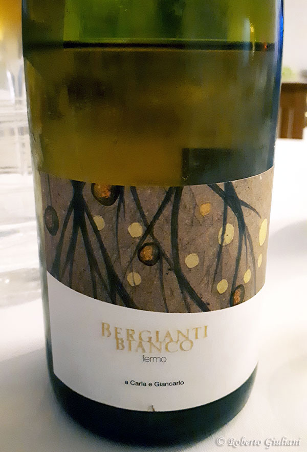 Bergianti Bianco 2017 Vignenuove