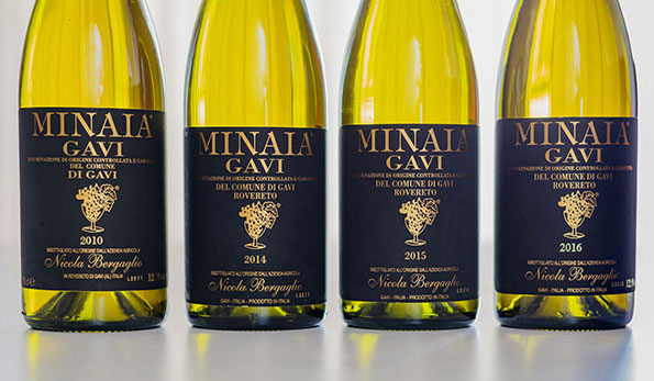 Verticale Gavi del Comune di Gavi Minaia Nicola Bergaglio