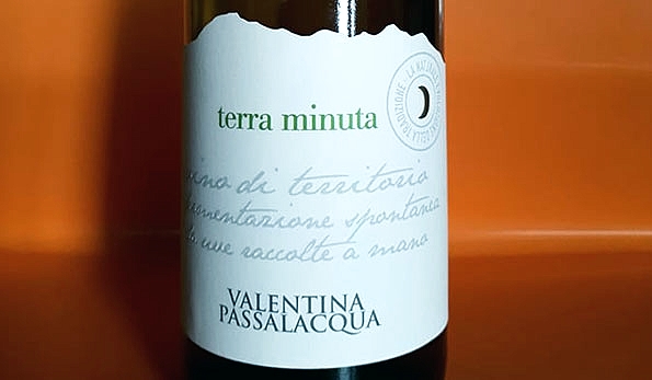 Terra minuta 2017 Valentina Passalacqua