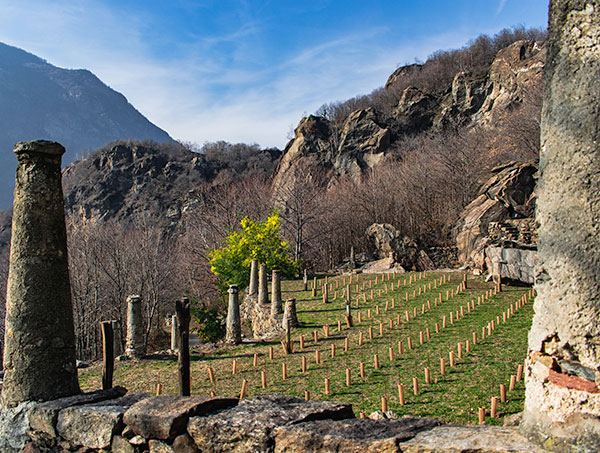 altro vigneto azienda Chiussuma