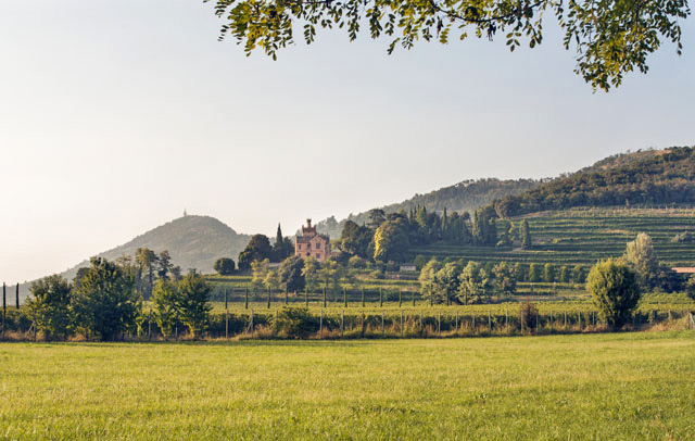 Castello Bonomi e vigneti