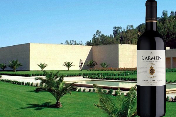 Gold Reserve Cabernet Sauvignon D.O. Valle del Maipo 2013 Viña Carmen