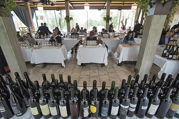 I vini in sala degustazione