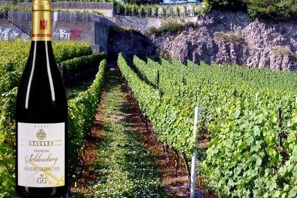 Ihringen Winklerberg Grauburgunder Pagode Grosse Gewächse 2016 Weingut Stigler