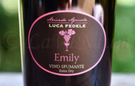 Emily Extra Dry Luca Fedele: oltre il 2081