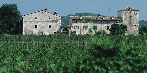 L'azienda Le Fraghe