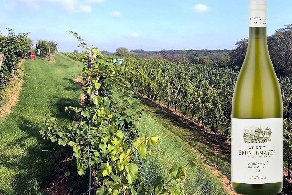 Grüner Veltliner ”Ried Lamm” DAC Kamptal 1° Erste Lage ÖTW 2018 Weingut Bründlmayer