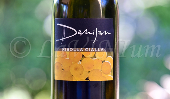 Ribolla Gialla 2016 Damijan Podversic