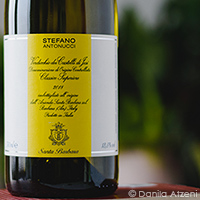 Verdicchio dei Castelli di Jesi Classico Superiore 2018 Santa Barbara