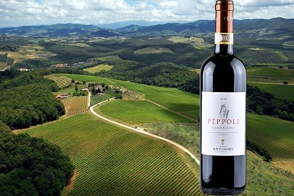 vigneti tenuta Pèppoli