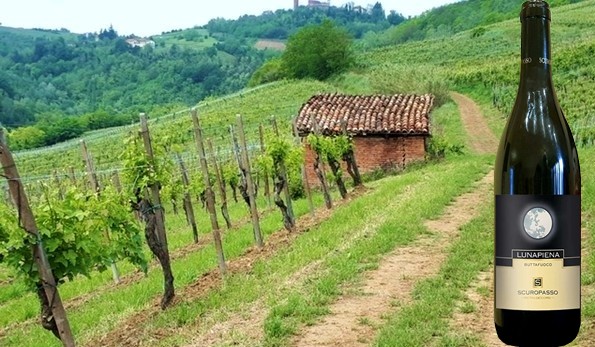 Oltrepò Pavese Buttafuoco Lunapiena 2016 Cantina Scuropasso