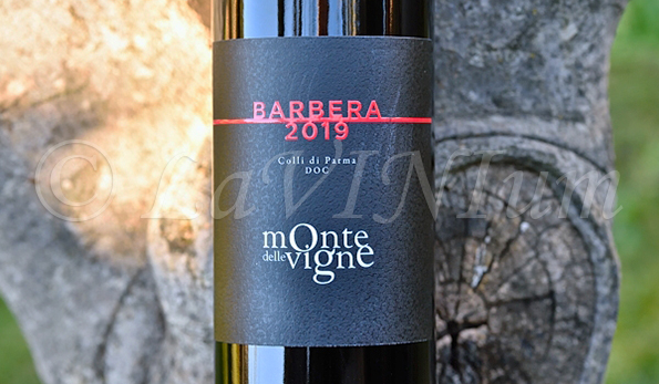 Colli di Parma Barbera 2019 Monte delle Vigne