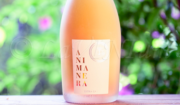 Sannio Aglianico Rosato Extra Dry Anima Nera Rossovermiglio