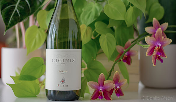 Collio Sauvignon Blanc Cicinis 2020 Attems