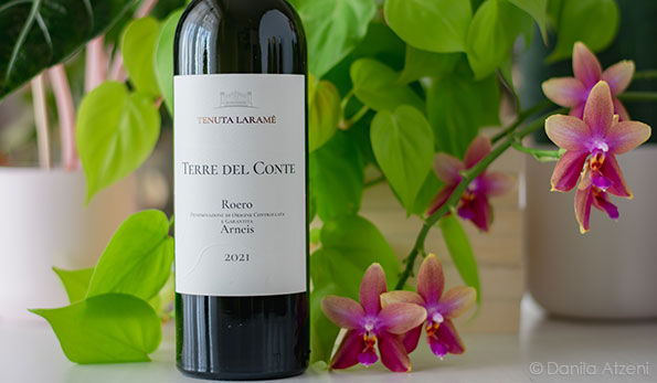 Roero Arneis Terre del Conte Tenuta Laramè 2021 Cantine Povero