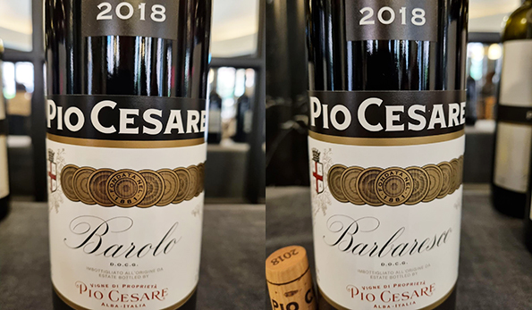 Barolo e Barbaresco 2018 Pio Cesare