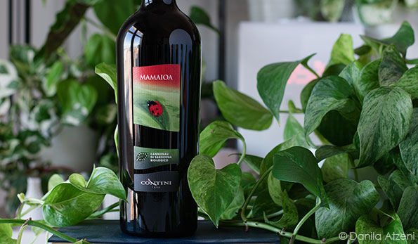 Cannonau di Sardegna Mamaioa 2020 Contini