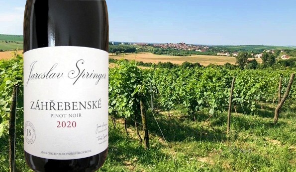 Pinot Noir Záhřebenské 2020 Jaroslav Springer