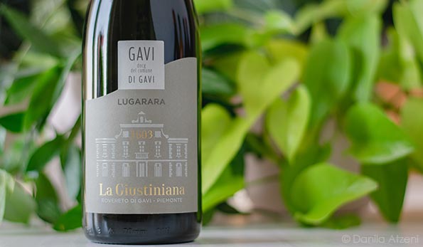 Gavi del Comune di Gavi Lugarara 2022 La Giustiniana