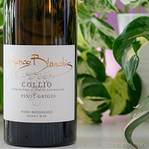 Collio Pinot Grigio 2022 - Lavinium