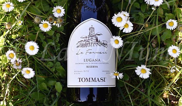 Lugana Le Fornaci Riserva 2019 Tommasi