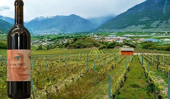 Grain Pinot Champ Dury AOC Valais 2020 Domaine Chappaz