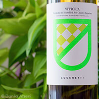 Verdicchio dei Castelli di Jesi Classico Superiore Vittoria 2021 Lucchetti