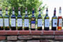 Il vino in 300 battute: Fiano di Avellino 2020 Cantine Di Marzo