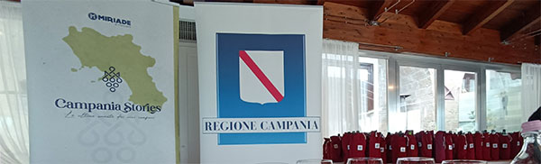 Campania Stories 2024