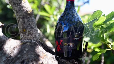 Tintilia del Molise Rosso 2019 Catabbo