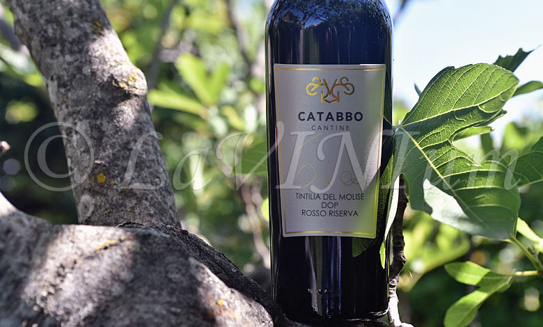 Tintilia del Molise Rosso Vincé Riserva 2018 Catabbo