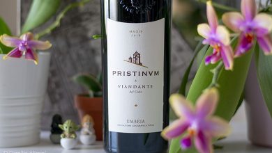 Rosso Pristinvm 2019 Viandante del Cielo