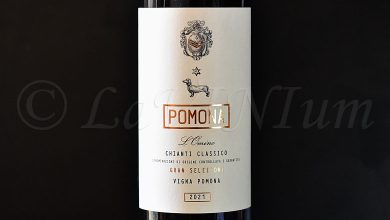 Chianti Classico Gran Selezione L'Omino Vigna Pomona 2021 Fattoria Pomona