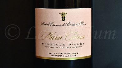 Nebbiolo d'Alba Spumante Rosé Brut Metodo Classico Maria Teresa 2021 Antica Cascina dei Conti di Roero